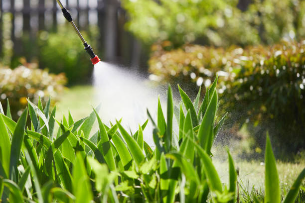 24/7 Emergency Mosquito Control experts in Union City, OH