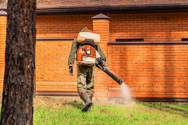 Top rated local Mosquito Control specialists in Union City, OH